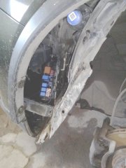 IMG_20250428_095122.jpg