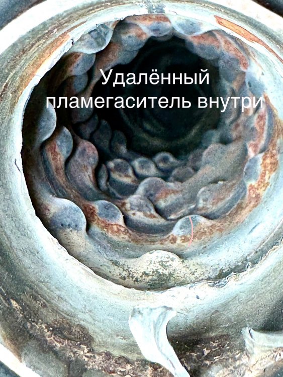 IMG_5977.thumb.jpeg.683d84d78264efd6da91b2e3c0734cb1.jpeg