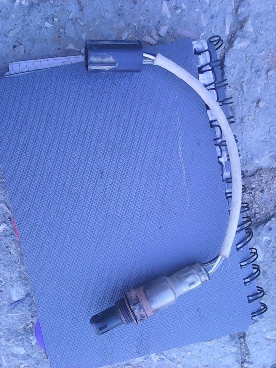 Photo0708.thumb.jpg.dd7b6f4a70e51fa9daf2c17bac0c42e6.jpg