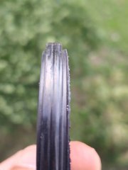 IMG_20260812_184937.jpg