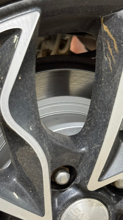 IMG_8668.thumb.png.329a3f60fc4d337d4bdc0d043d01b2f4.png